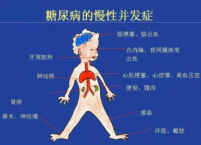 调理脾虚的方法_脾虚调理最有效的方法_调理脾虚有效方法